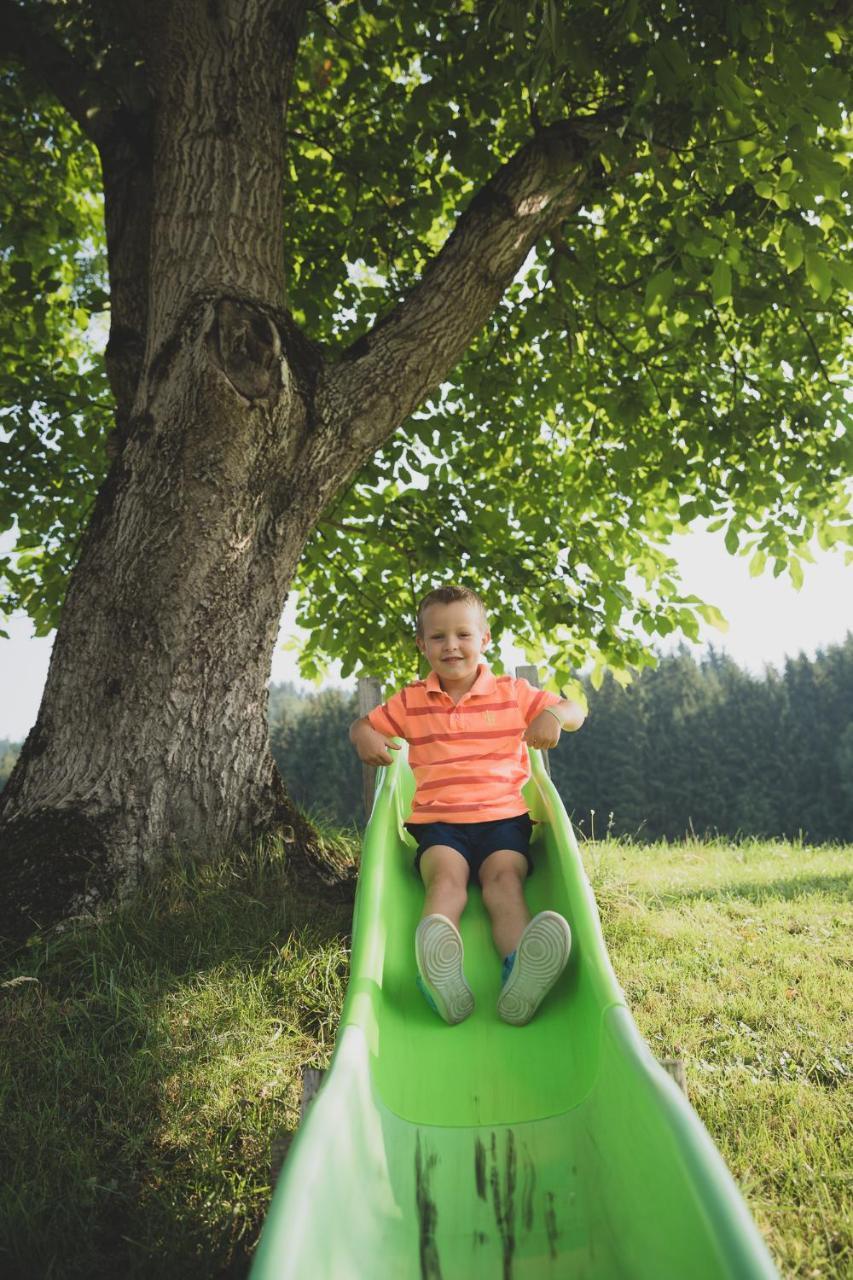 Drittlhof Lägenhet Hopfgarten im Brixental Exteriör bild